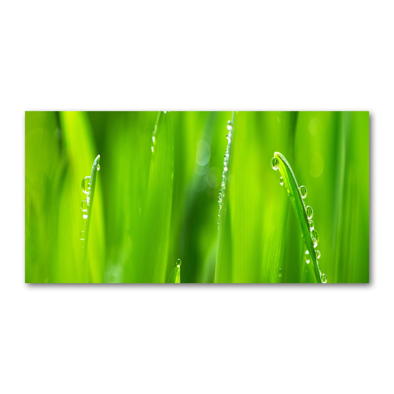 Acrylic glass mural art haut de gamme format panoramique 120x60 cm