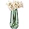 SPHINX Decorative Glass Vase for Flowers Plants Home Decor Office Living Table Decorations, Vases for Home Decor, Luster Glas