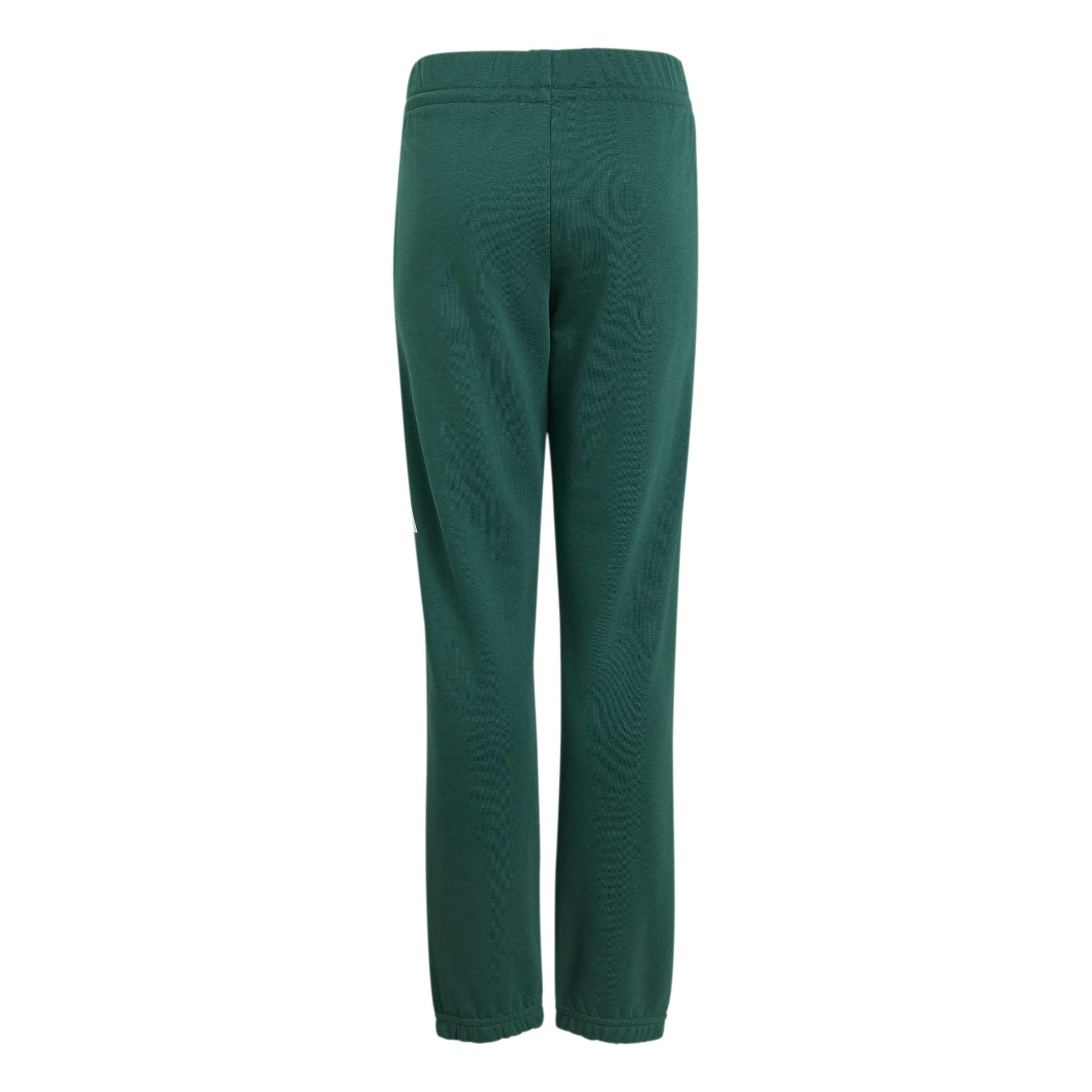 adidas Uniseks - dzieci Essentials Big Logo Pants, collegiate green/white, 9-10 Years