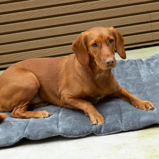 Foto 4 de 4 de Scruffs Cama Enrollable para Mascotas de Viaje Expedition
