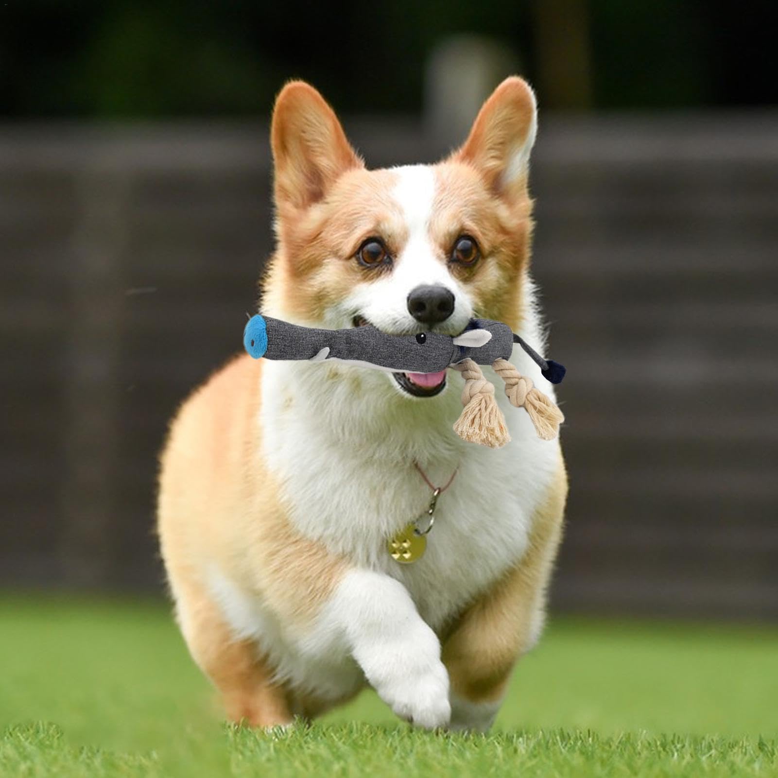 Hunde Quietschspielzeug Ananas - Plüsch Spielzeug Für Welpen & Hunde