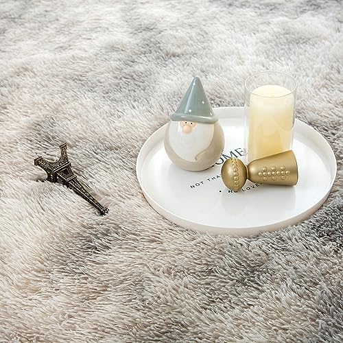 AENRUO Fluffy Rug for Living Room 5x8 Tie-Dyed Luxurious Area Rug Shaggy Rug for Bedroom Kid Rug for Play Room Modern Carpet for Home Decor, Light Grey 7 61gPNFKPIWL. AC
