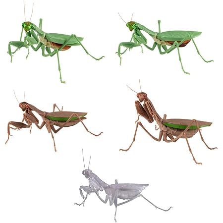 Amazon かまきり 全５種 ガチャガチャ カプセル玩具 おもちゃ