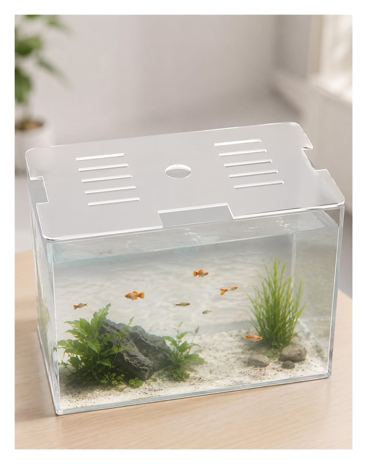 Generico Coperchio Acquario Trasparente in Acrilico, Foro Alimentazione e Filtro(60x30 cm)