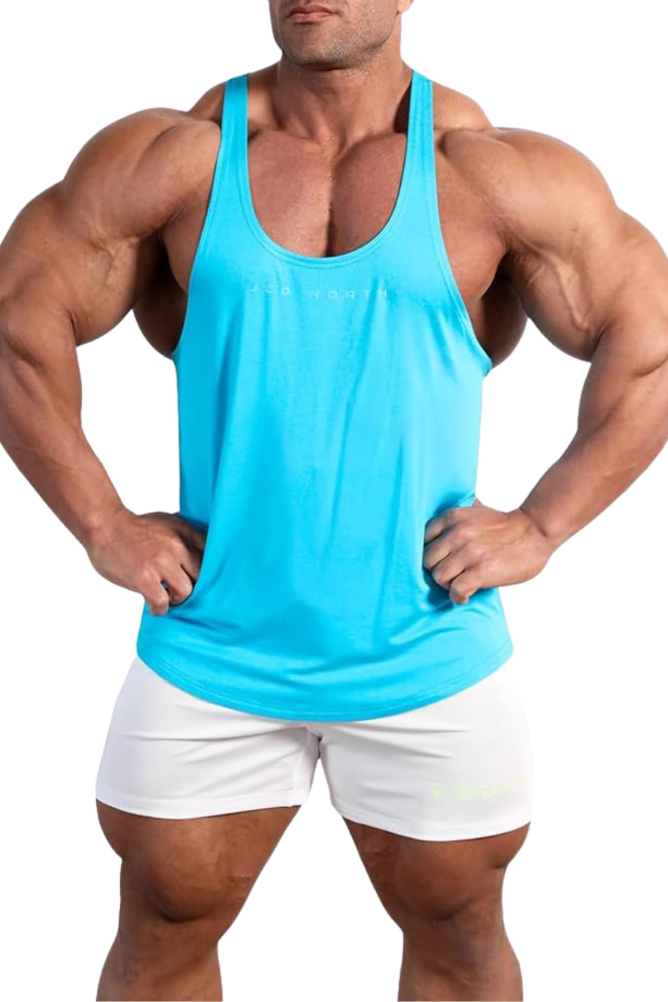 Jed North Pro Bodybuilding Workout Stringer