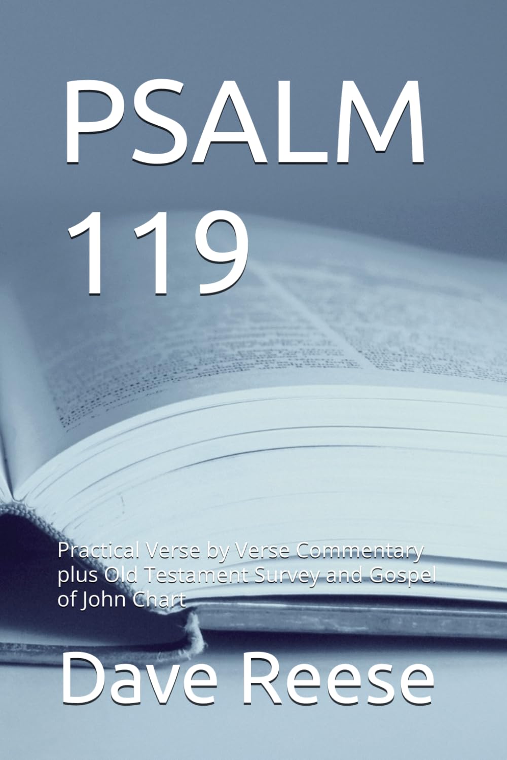 PSALM 119: Practical Verse by Verse Commentary plus Old Testament Survey and Gospel of John Chart