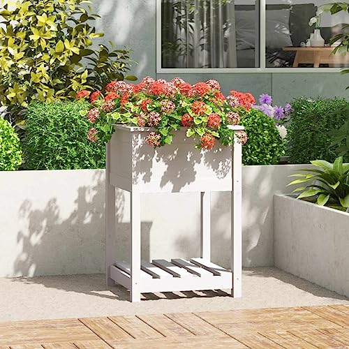 Jardinière surélevée pour éviter le mal de dos bac fleurs en bois