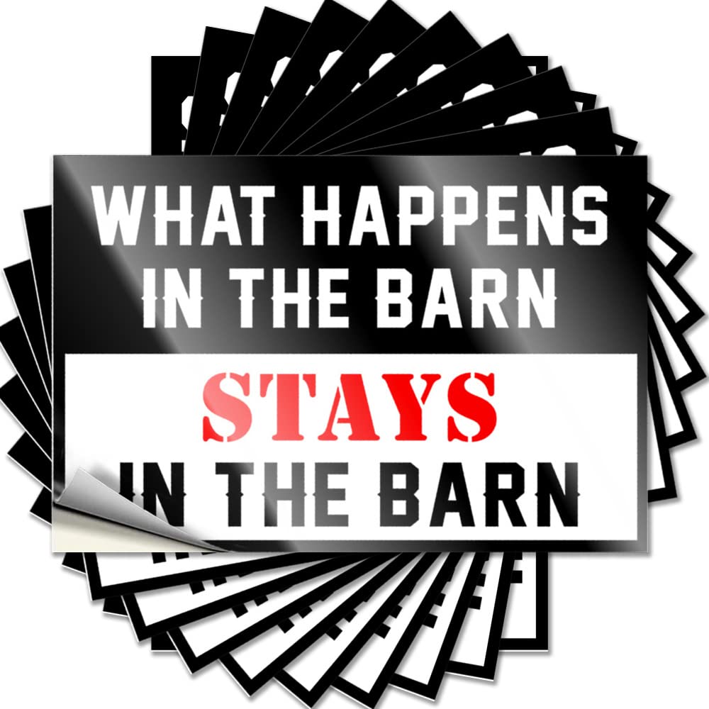 Decal Books | Unique Window What Happens in The Barn Stays in The Barn for Adults(8X12CM)