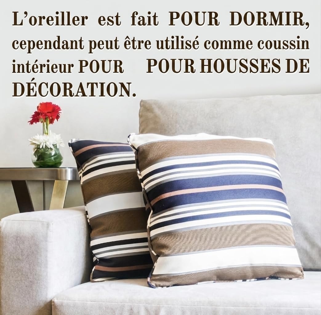 FAM’Home Oreiller 65x65 Lot de 2 | Hypoallergénique Coussin Rectangulaire Respirant et Lavable | Oreillers en Boules de Fibres Creuses en Polyester | Moelleux et Facile d'entretien | Anti Acarien