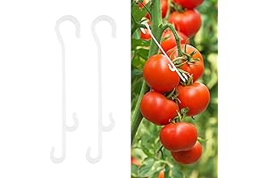 Kinglake Plant Support Clips for Your Garden: Secure Your Tomatoes with Our J-hook Clips