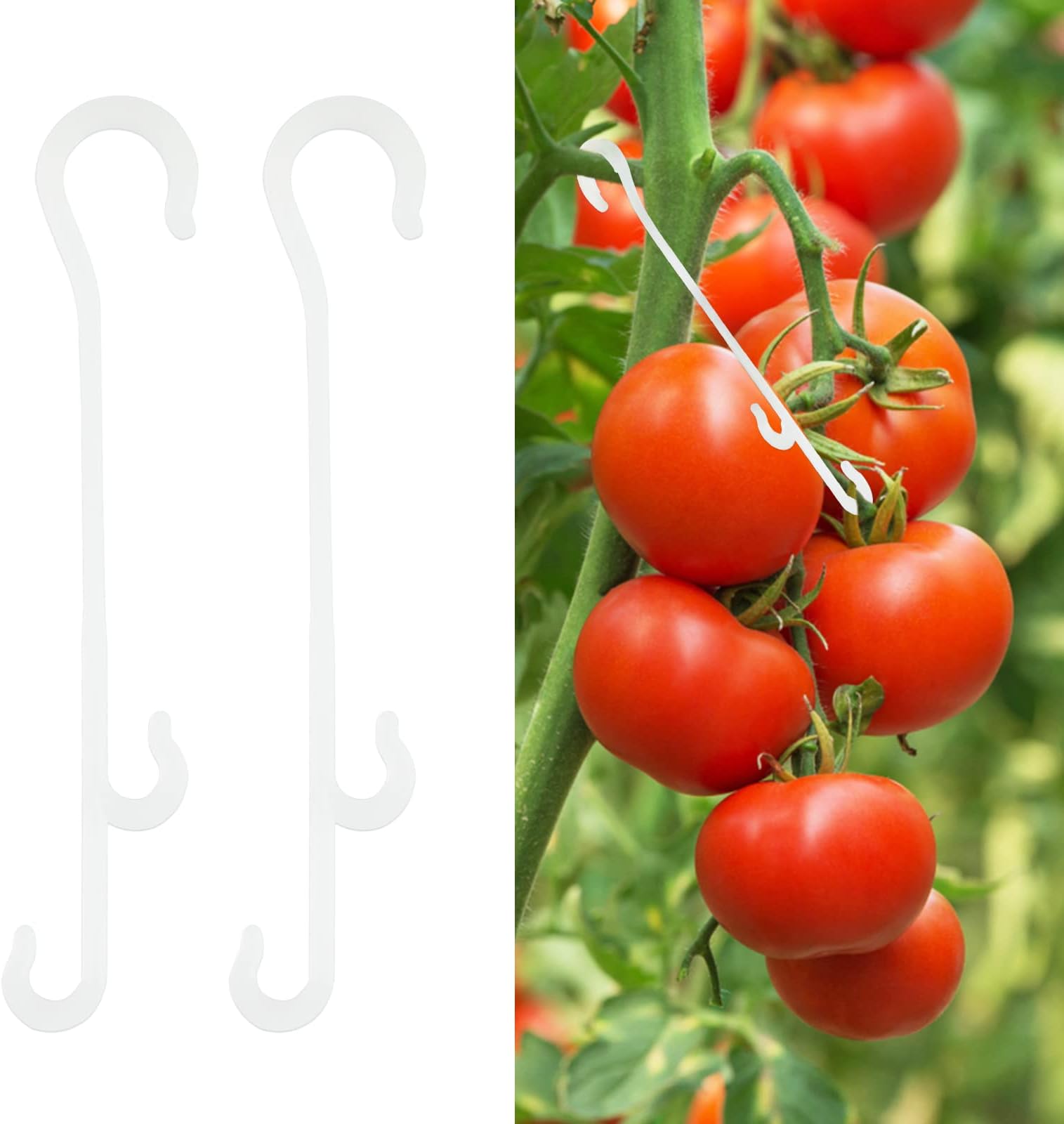 KINGLAKE 100 Pcs Tomato Support Clips Tomato Vegetable Support J-Hook Clips to Prevent Tomatoes from Pinching or Falling Off