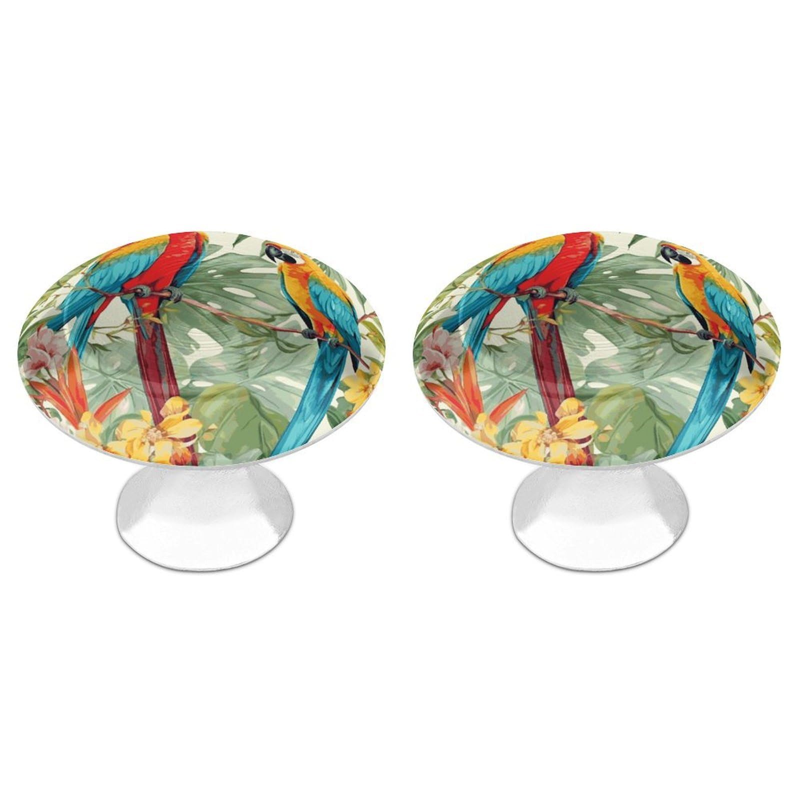 FekiLoot Tropical Plants and Parrots Cabinet Knob Kitchen Drawer Knob Stainless Steel Round Drawer Pulls Modern Cabinet Hardware Vintage Dresser Drawer for Kitchen Bathroom Closet Dresser Cabinets