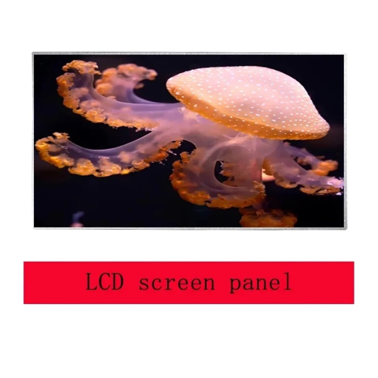 M490 M495 B450 B460, Compatibile for Lenovo, Display LCD