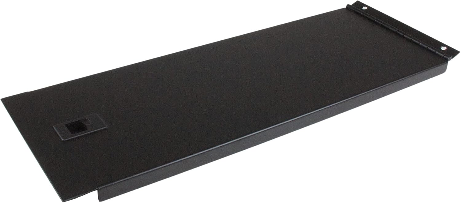 Amazon.com: StarTech.com 4U Hinged Rack Panel - Solid Blanking Panel ...
