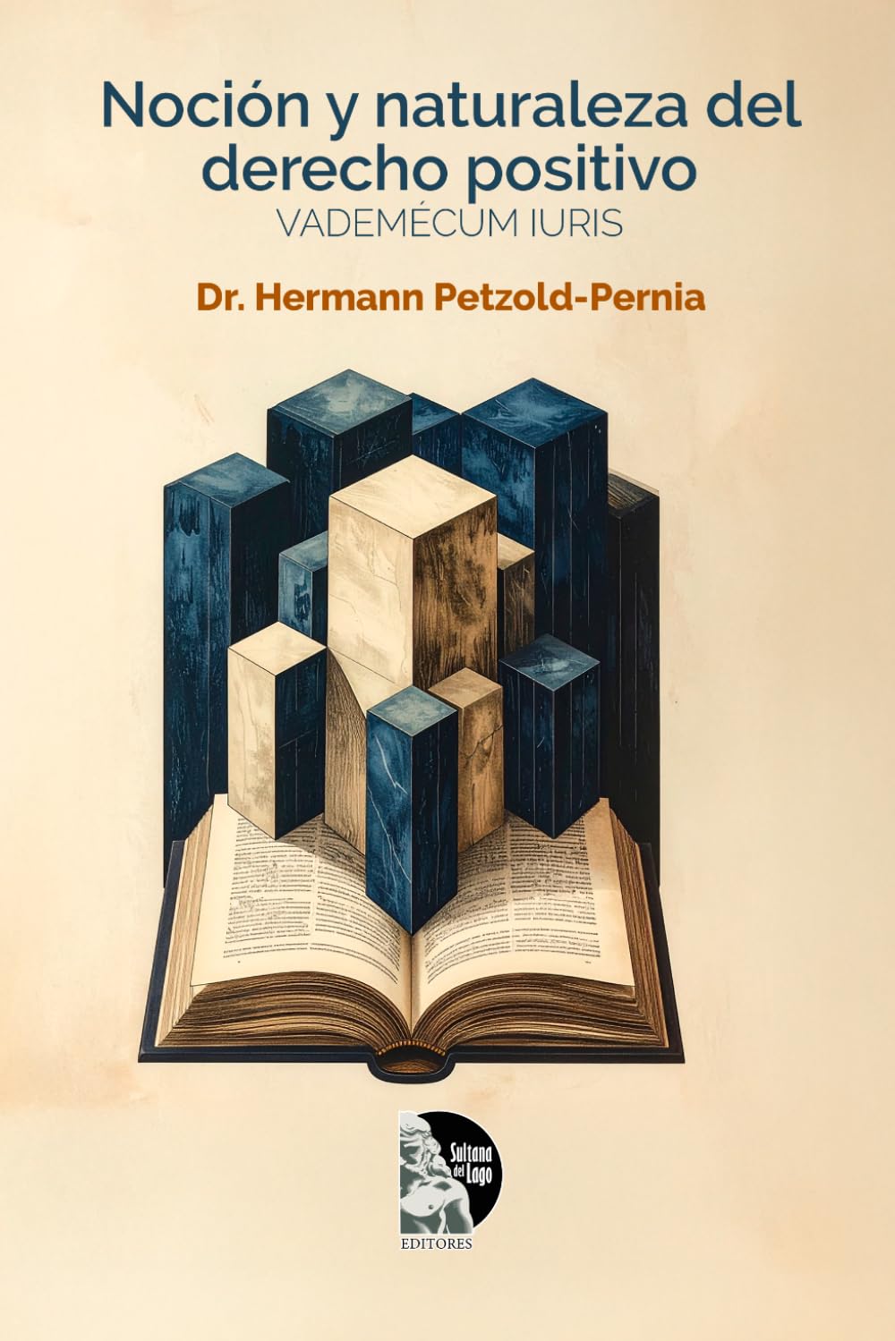 La noción y la naturaleza del derecho positivo: Guía crítica de filosofía del derecho, hermenéutica, argumentación jurídica y metodología aplicada al ordenamiento venezolano