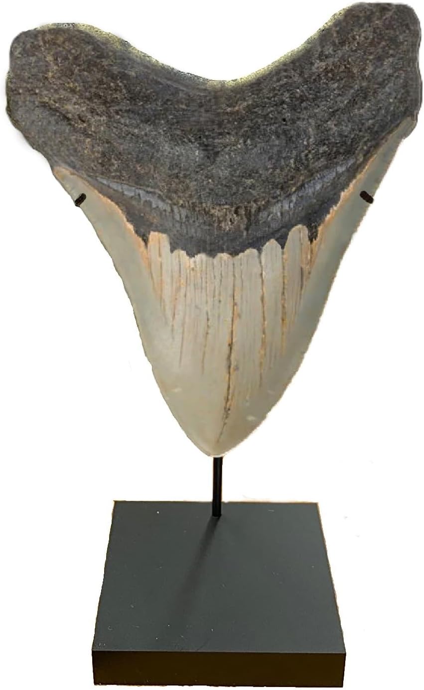 Artifact Display Stand, for Ushabtis, Figurines, and Artifacts | SOLID BASE