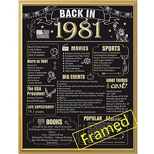 Back in 1981 Poster with Frame 40th Birthday Decoration for Men and Women 40 Years Party Supplies Home Decor for Him or Her (Back in 1981-Gold Frame)