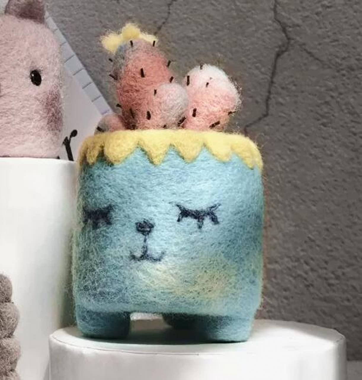 YJIUYUANQ Needle Felting Kit Cactus Full Range of Wool Felted Set DIY Crafts