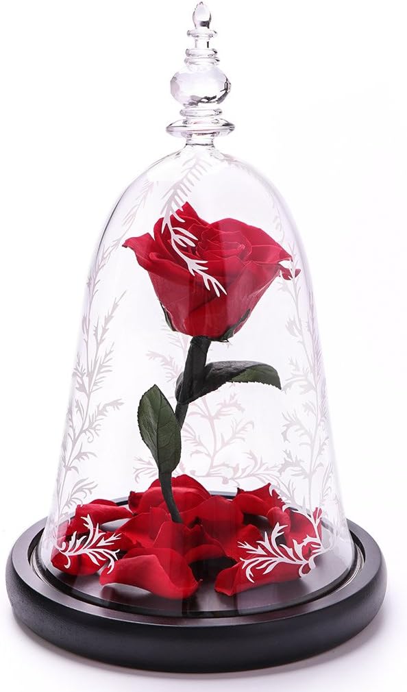 JTTVO Gifts for Her Enchanted Rose Beauty and the Beast Rose in Glass Dome Bell Cloche Jar Romantic Birthday Gift (Red Enchanted Rose)