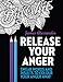 Release Your Anger: Midnight Edition: An Adult Coloring Book with 40 Swear Words to Color and Relax by James Alexander (2016-04-12)