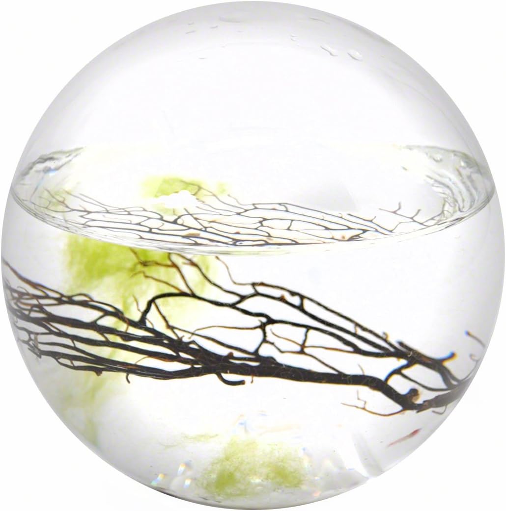Ecosphere Medium Sphere