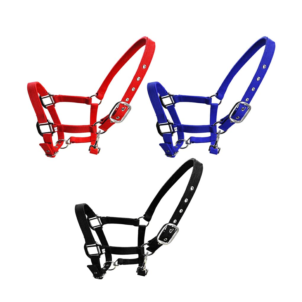 Capezza imbottita Pony Bridle Head Collar Regolabile in lega di zinco Equipaggiamento protettivo Indossare facilmente Forniture per cavalli Solidità, Blu, XL