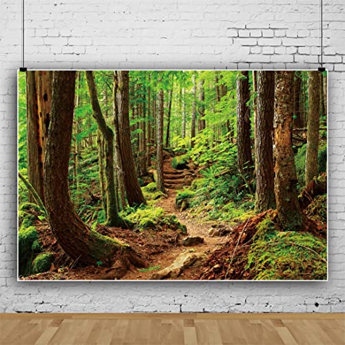 Natura Forst Sfondo Primavera Montagna Paesaggio Percorso Albero per la Fotografia Avventura Campeggio Picnic Escursionismo Tema Partito Decorazione Banner 220x150cm