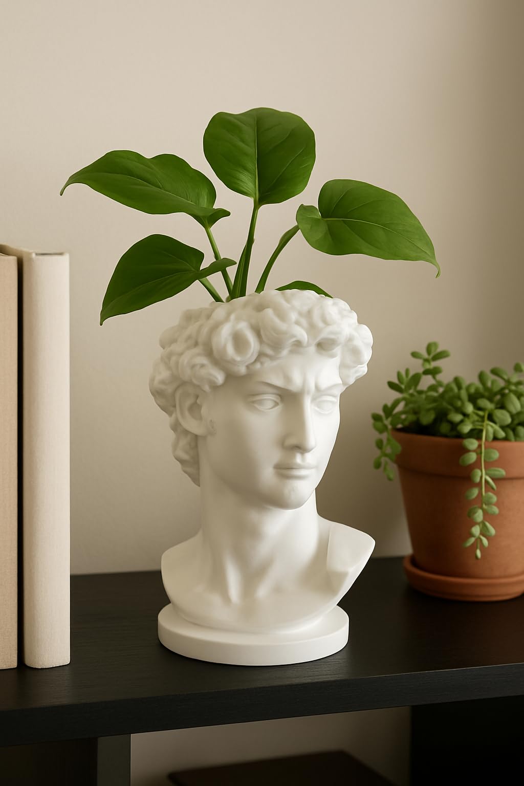 David Bust Planter – Classical Sculpture Inspired Plant Pot for Indoor Plants & Home Decor | Unique Head Planter for Desk, Shelf & Tabletop-image-6