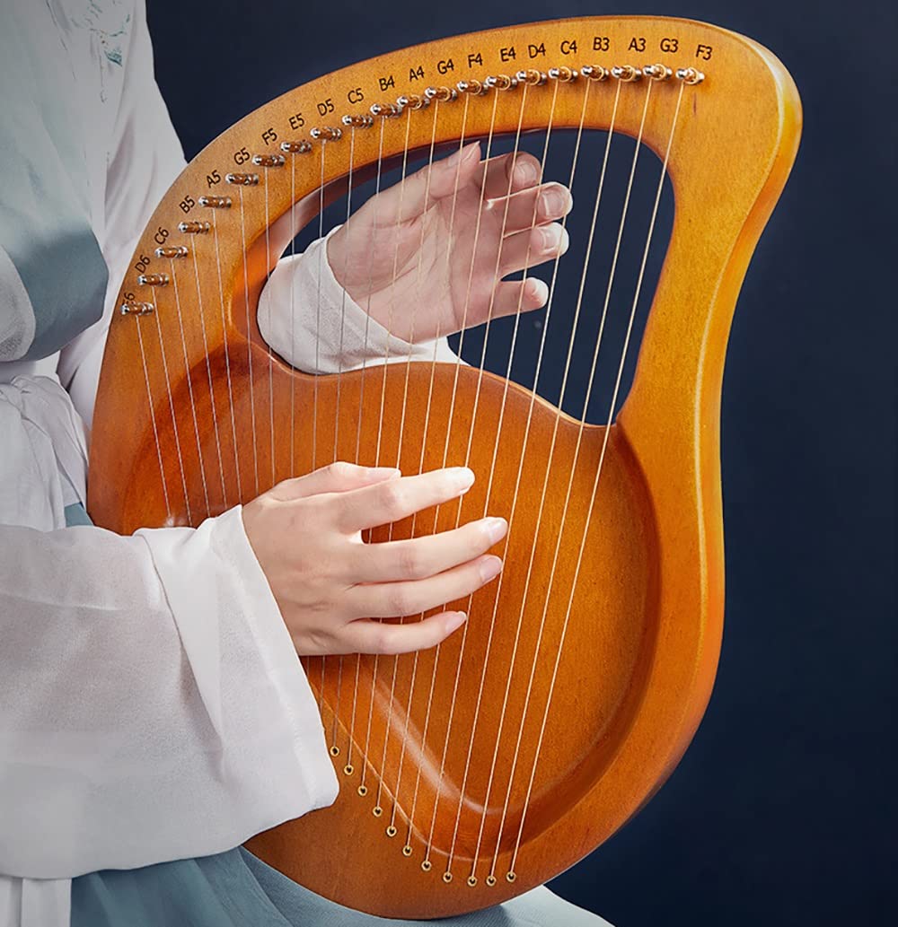 Harpe lyre 24 cordes instrument de musique à cordes métalliques avec clé d'accord sac de transport cordes supplémentaires