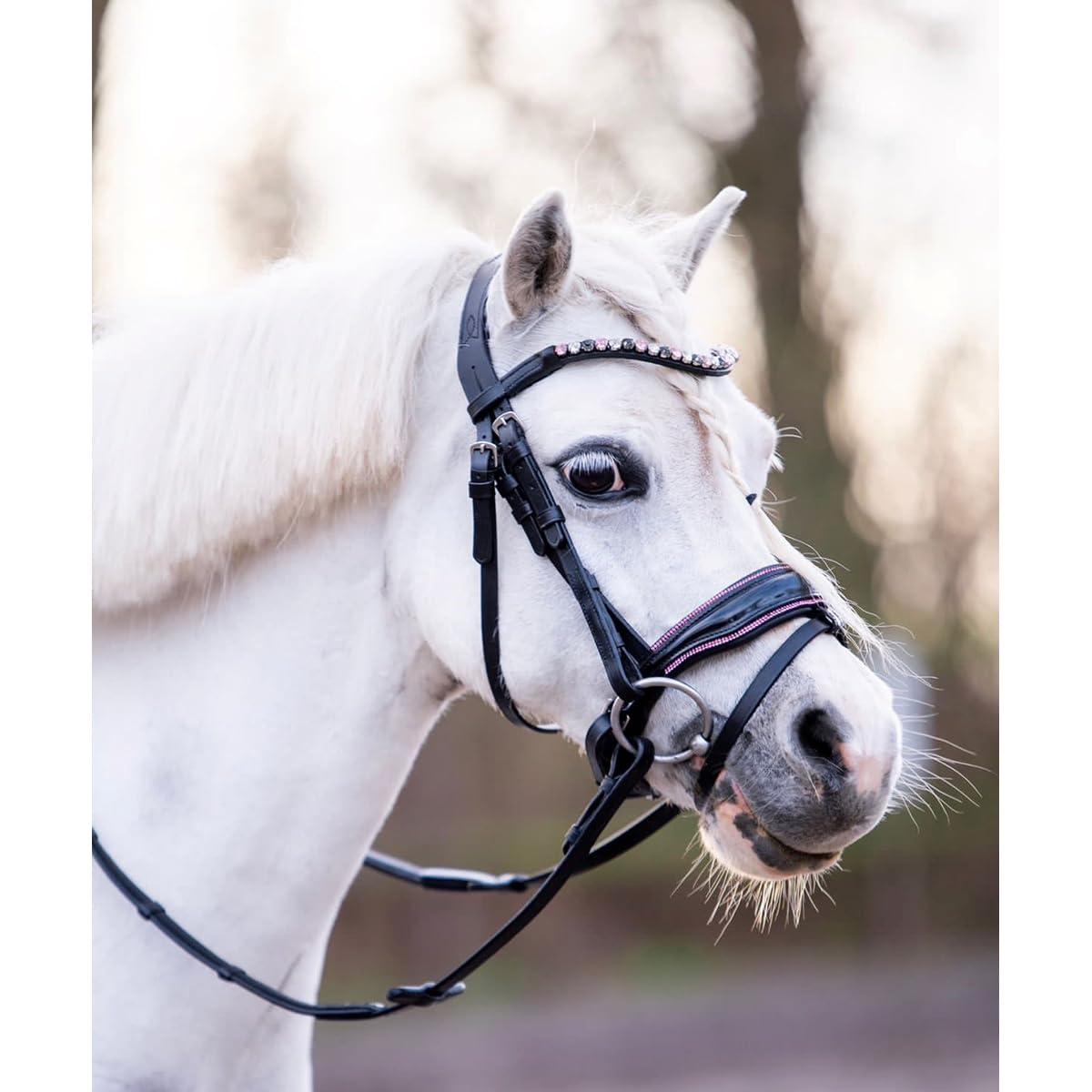 Hb Briglia Showtime Special A-Pony Black-Pink in Size: Pony (EU). - Nero-Rosa - Pony