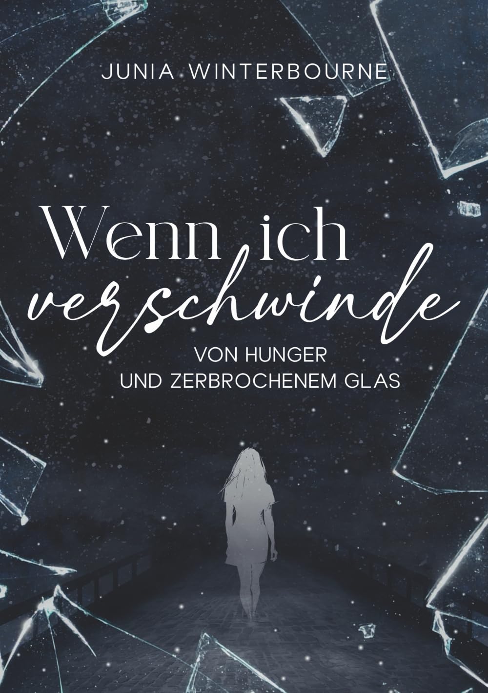 Wenn ich verschwinde: Von Hunger und zerbrochenem Glas