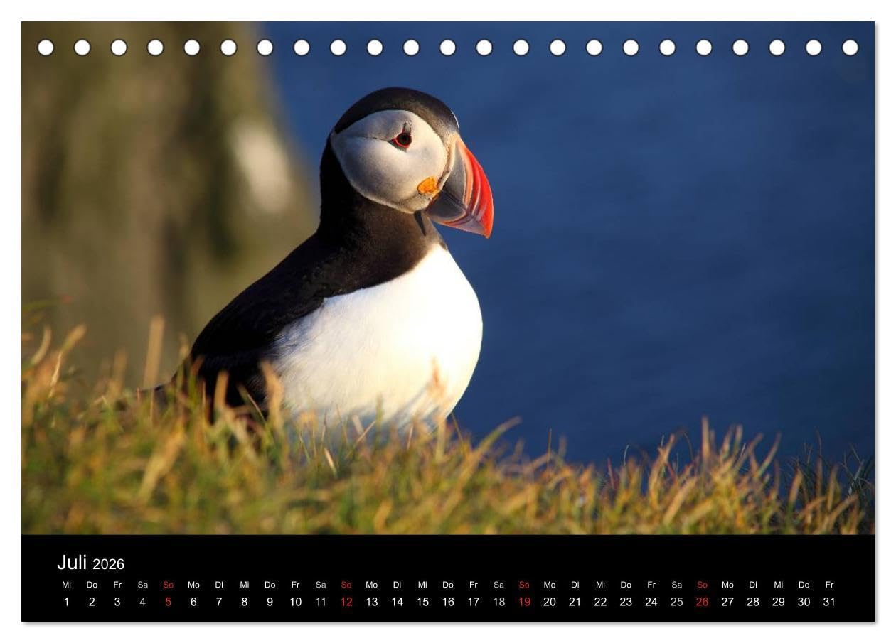 Island - Iceland (Tischkalender 2026 DIN A5 quer), CALVENDO Monatskalender: Bilder von den faszinierenden Landschaften einer großartigen, ... so konzentriert findet. (CALVENDO Natur)