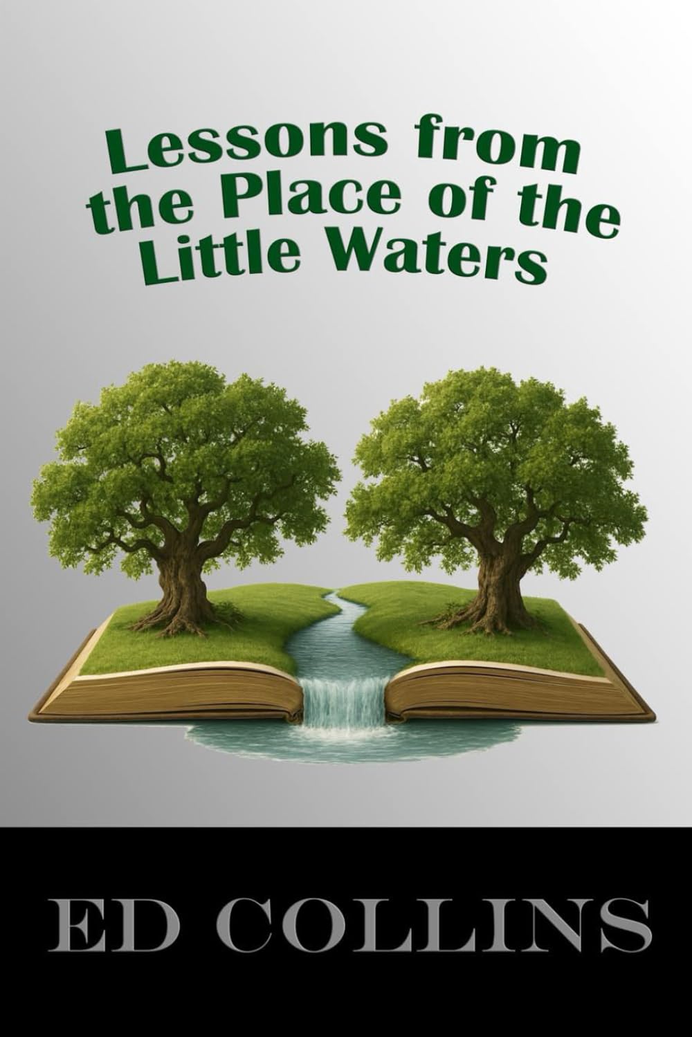 Lessons from the Place of the Little Waters
