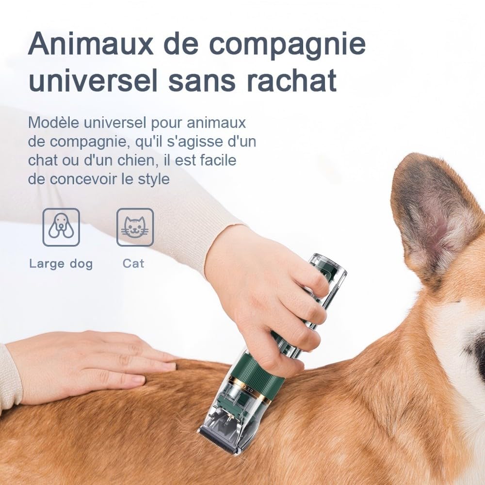 Tondeuse Professionnelle pour Chien et Chat, avec Écran LED, 4 Peignes de Limite, 3 Vitesses, Étanche IPX7 - pour Poils Longs et Noeud (Vert)
