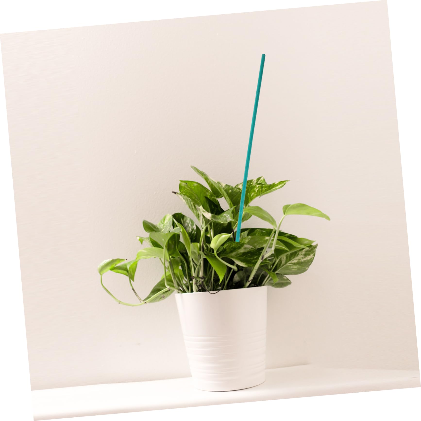 Milisten 3 Sets Pflanzen Bambusstab Blumenarrangementstab Blumenarrangementstab Pflanzenständer Blumen Und Rankenklammern Pflanzenspalier Pflanzenstäbe Unterstützung LED