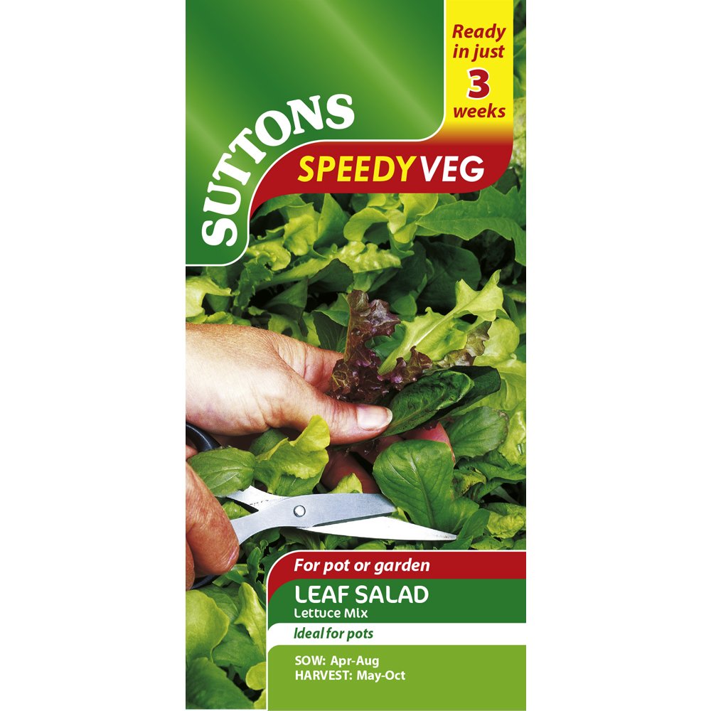 Suttons Lettuce Seeds - Mixed Varieties Average Packet Content 1500 Seeds. Easy to Grow Lettuce