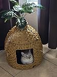 Review Image by TheCatDad TheCatDad