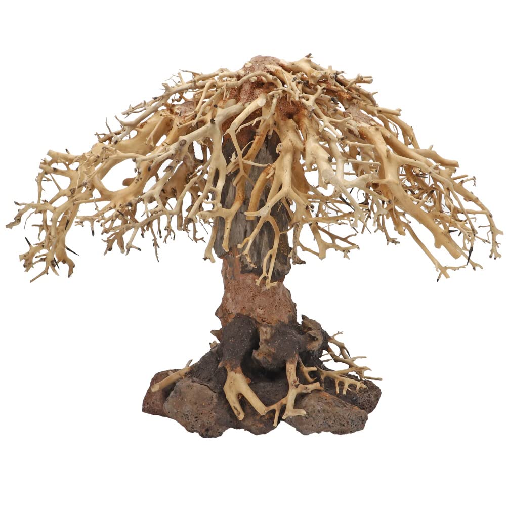 Dupla Weeping Willow 3