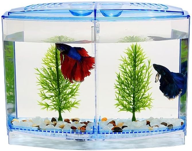 Fish Tabk Fish Tank Aquarium Box Transparent Fish Raising Box Double-Capsule Hatching Double-Layer Incubator Office Aquarium Cool Fish Tank