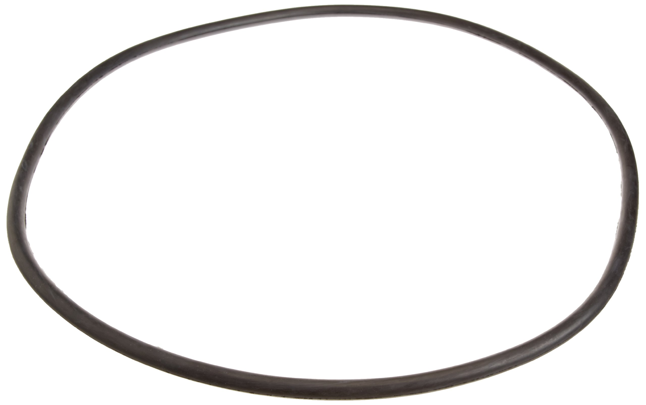 Pentair 24850-0008 21-Inch Cord O-Ring for Tank Replacement for Select Sta-Rite Pool and Spa Filters