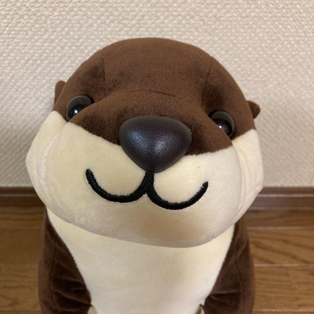 Amazon.co.jp: 今週限 格 南知多ビーチランド スベスベ カワウソ