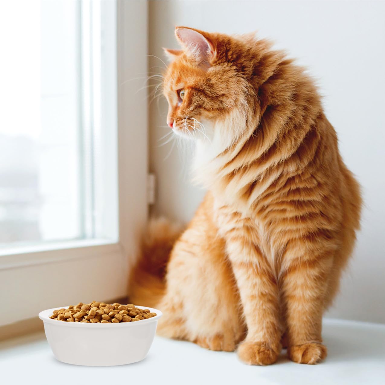 Levemolo 2 Stück Teiliges Keramik doppelnapf Welpen und Katzen Kreative Futterschalen Glatt und Leicht zu Reinigen Praktische Futter Trinkschalen für Kleine Hunde und Katzen rutschfest und