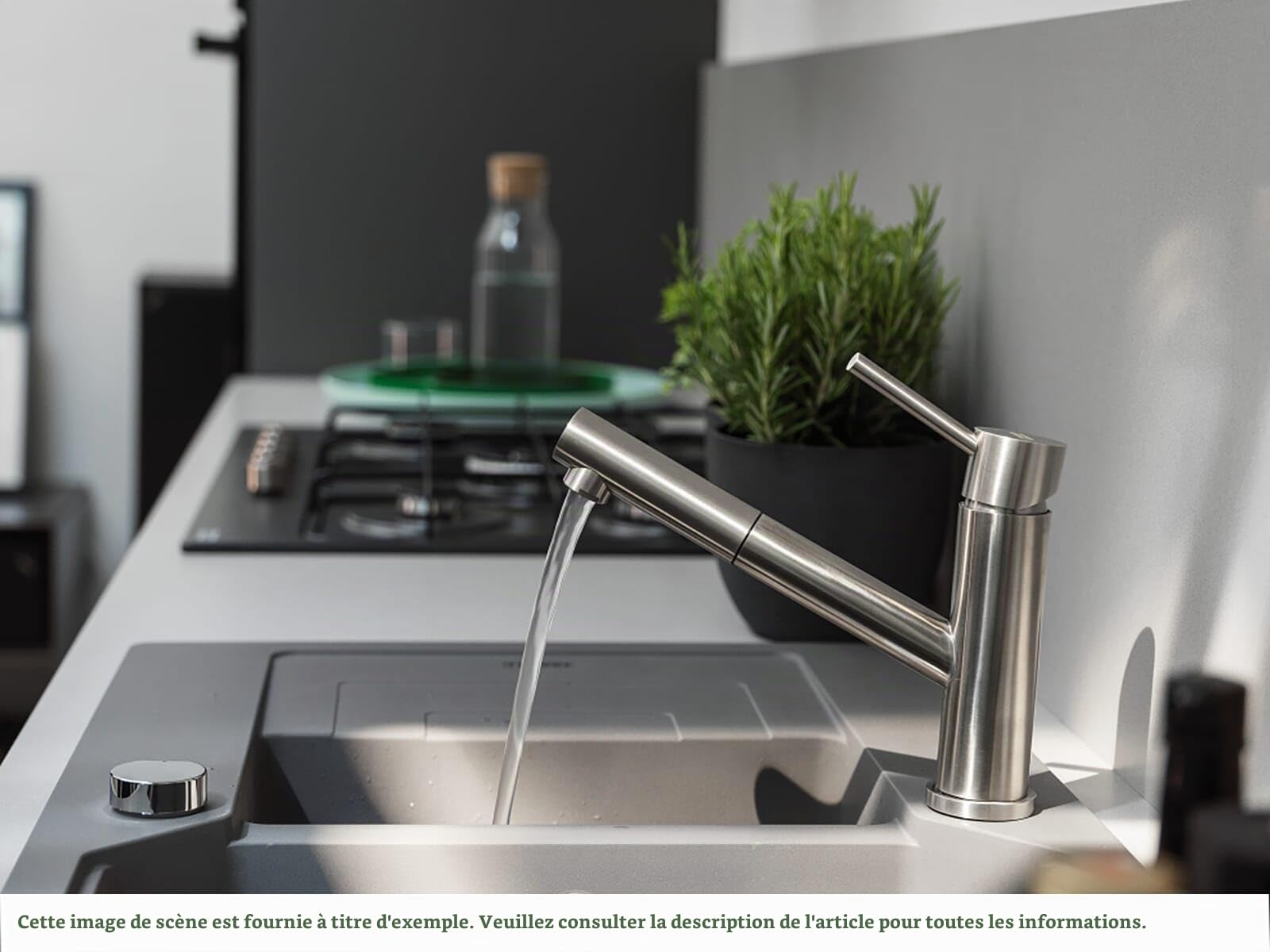 FRANKE; Robinet de cuisine Orbit Pull-Out (115.0569.461); Couleur : inox