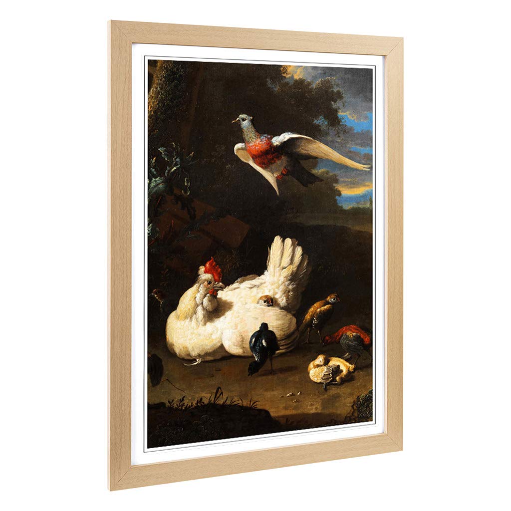 Big Box Art Framed Print of Melchior d'Hondecoeter Hen Design | Wall Art Picture | Home Decor for Kitchen, Living, Dining Room, Bedroom, Hallway, Office, Oak, A2 / 24.5x18 Inch / 62x45cm