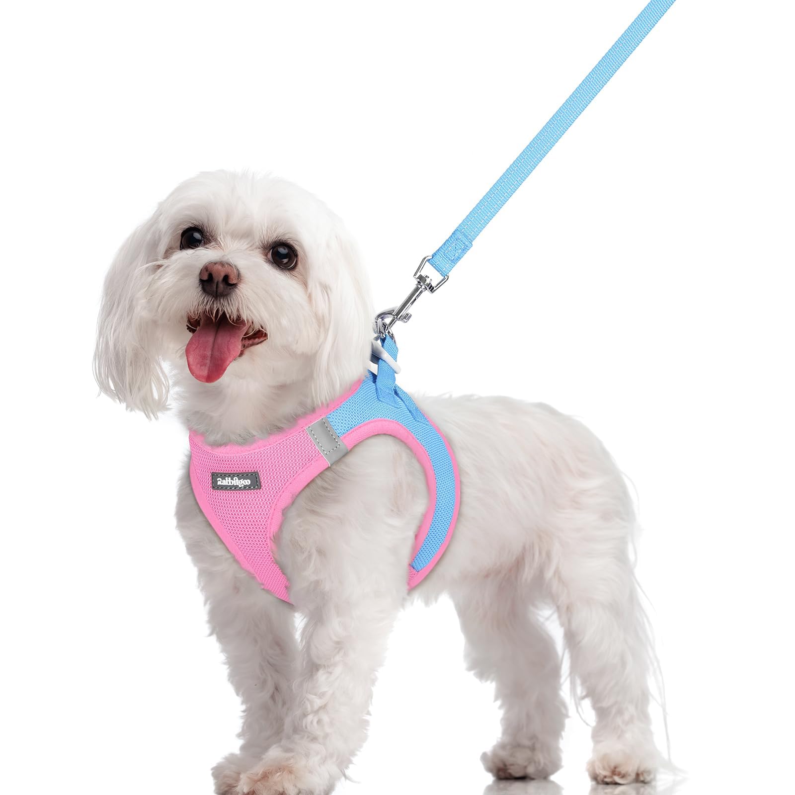 rabbitgoo Dog Harness Small Dog and Leash Set, Step-in Soft Mesh Puppy Harness with Reflective Strips, Lightweight Breathable Pet Vest for Walking Training, Blue & Light Pink, M
