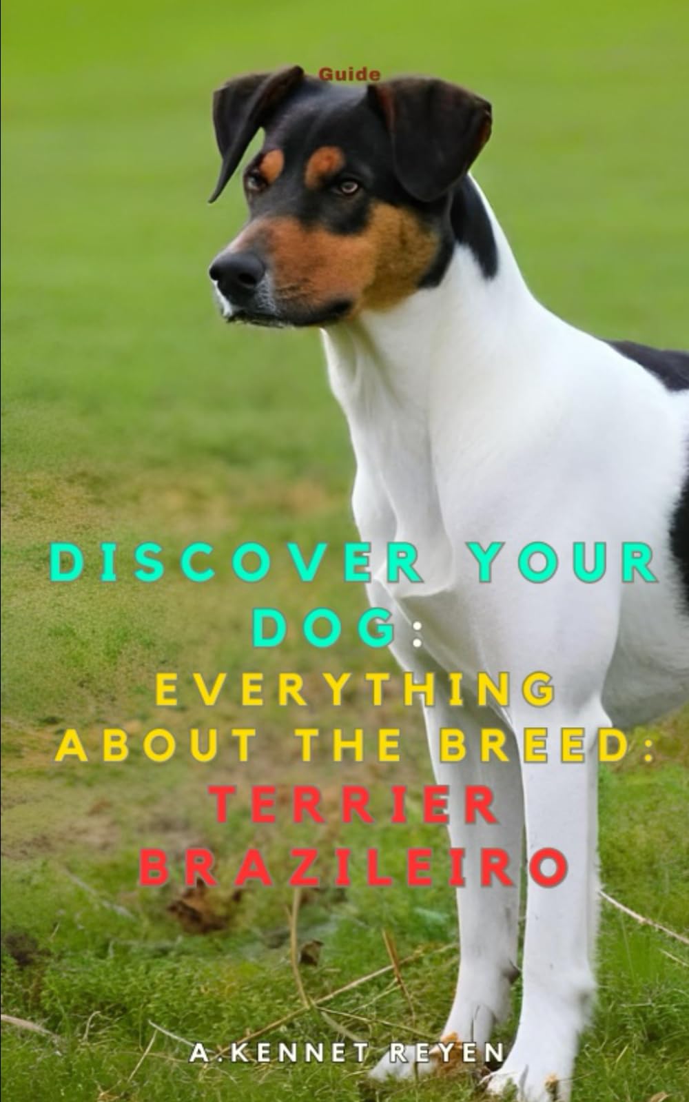 Discover your dog: Everything about the breed: Terrier brazileiro