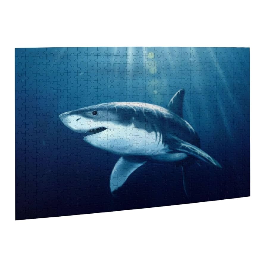 サーフゴー ジグソーパズル500ピース サーフゴー ジグソーパズル