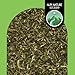Imagen de Alpi Nature Ortiga Verde Infusión 1kg