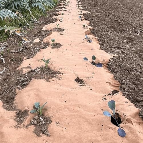 Almastore Telo Pacciamatura 0.90 X 20 Mt Biodegradabile In Carta – Pacciamante Ecologico Anti Erbacce, Naturale E Compostabile Per Orto, Giardino, Coltivazioni - 4