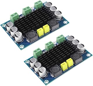 HiLetgo 2pcs TPA3116 100W Audio Amplifier Board DC 12V 24V TPA3116DA Mono Channel Digital Audio Amplifier Board High Power AMP Module